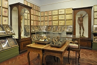 la specola 8-2017 1489